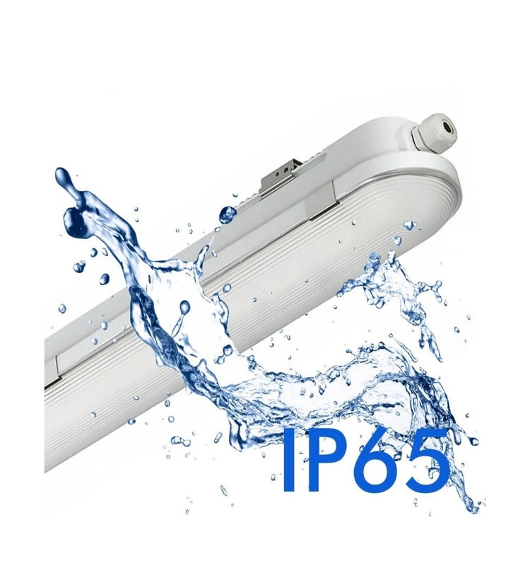 Pantalla estanca Philips 55w CCT