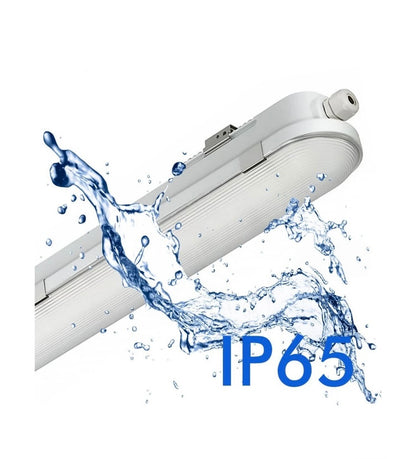 Pantalla estanca Philips 55w CCT