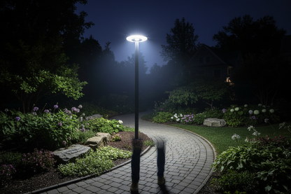 Farola solar LED iluminando jardín o parque durante la noche con sensor activado