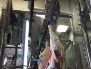 La clasificación IP69K significa que un equipo puede soportar una limpieza intensiva con chorros de alta presión y alta temperatura. Es ideal para industrias donde el saneamiento es una preocupación principal, como el procesamiento de alimentos y las aplicaciones farmacéuticas