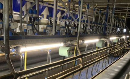 La clasificación IP69K significa que un equipo puede soportar una limpieza intensiva con chorros de alta presión y alta temperatura. Es ideal para industrias donde el saneamiento es una preocupación principal, como el procesamiento de alimentos y las aplicaciones farmacéuticas